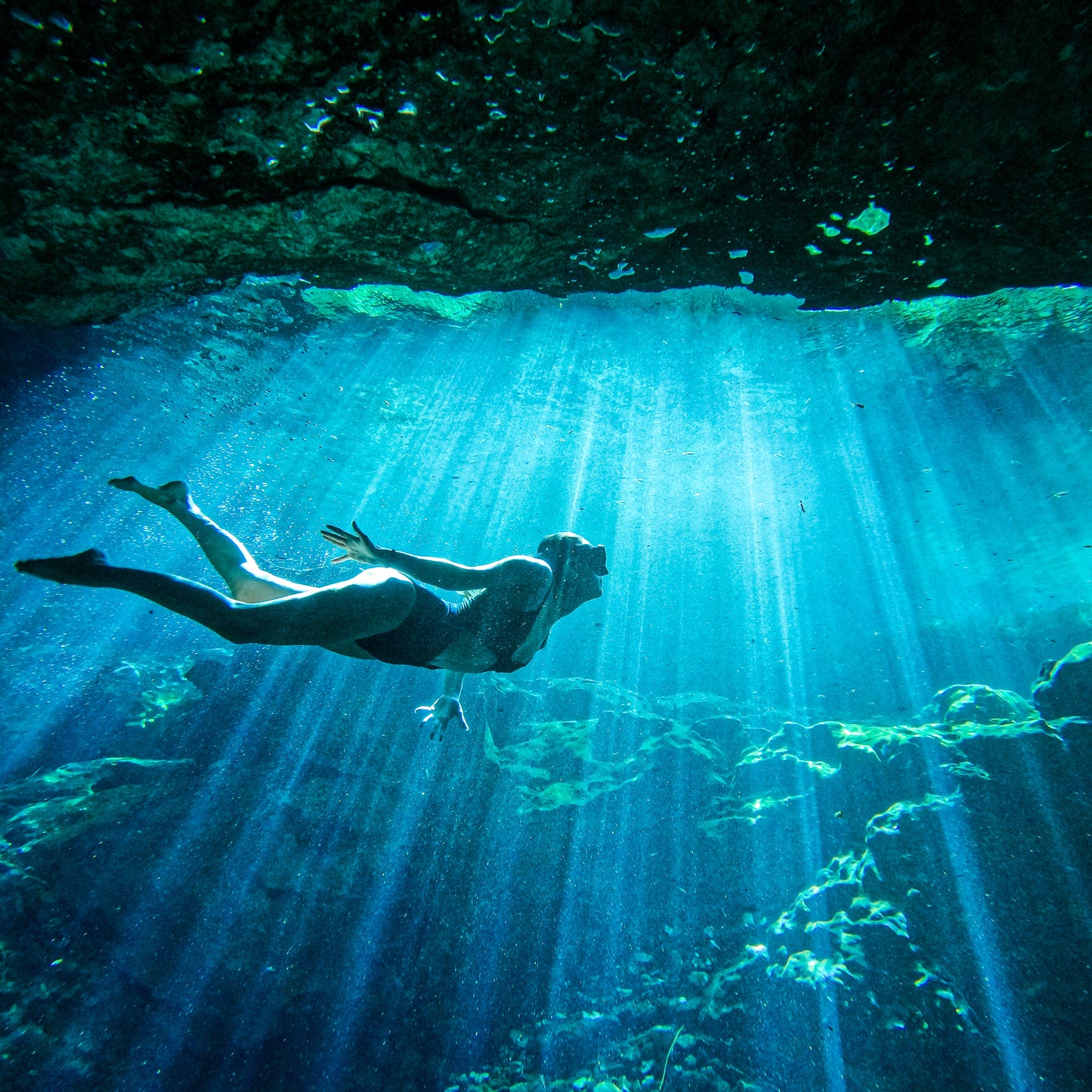 El Camino del Agua – Tour en Bicicleta y Cenotes en la Riviera Maya