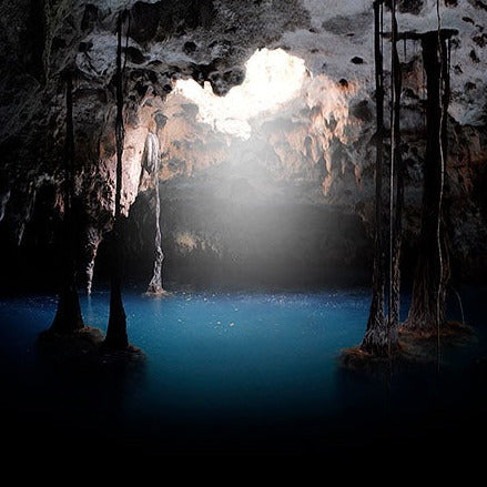 Xenotes Tour with Transportation – Cenote Adventure in Riviera Maya