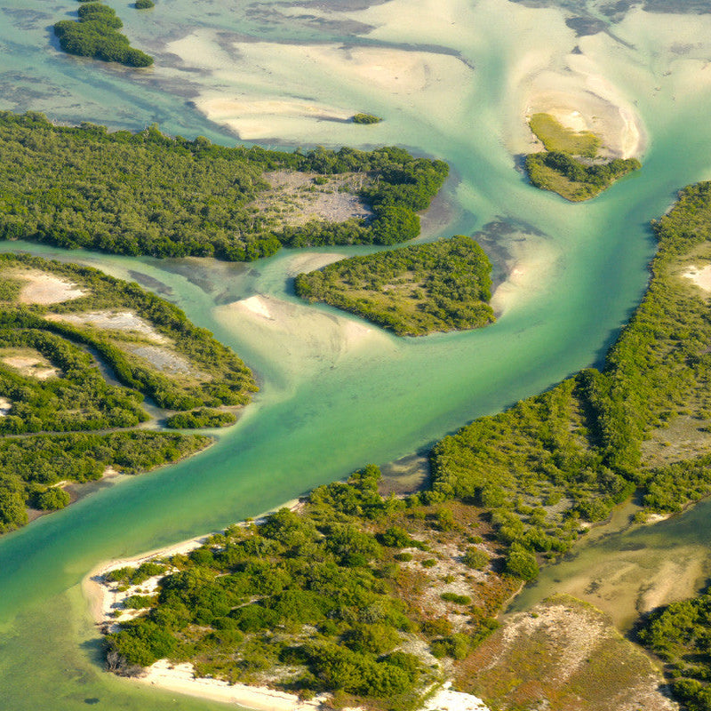 Private Sea Ray 41 ft Yacht in Holbox – Cabo Catoche Tour with Snorkeling & Drinks