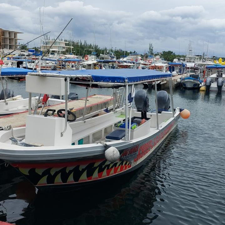 Private Boat to El Cielo Cozumel – Snorkeling, Reefs & Affordable Group Tour
