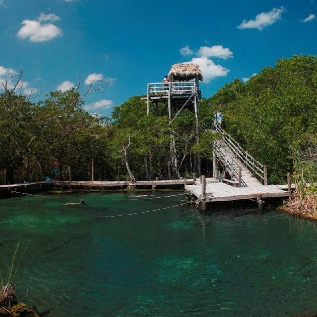 Magical Holbox Tour – Nature, Tranquility & Paradise in a Single Day