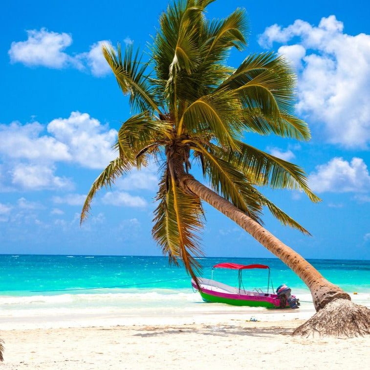 Tour Tulum Playa Paraíso y Madre Naturaleza – Cultura, Mar y Misticismo Maya en un Solo Día