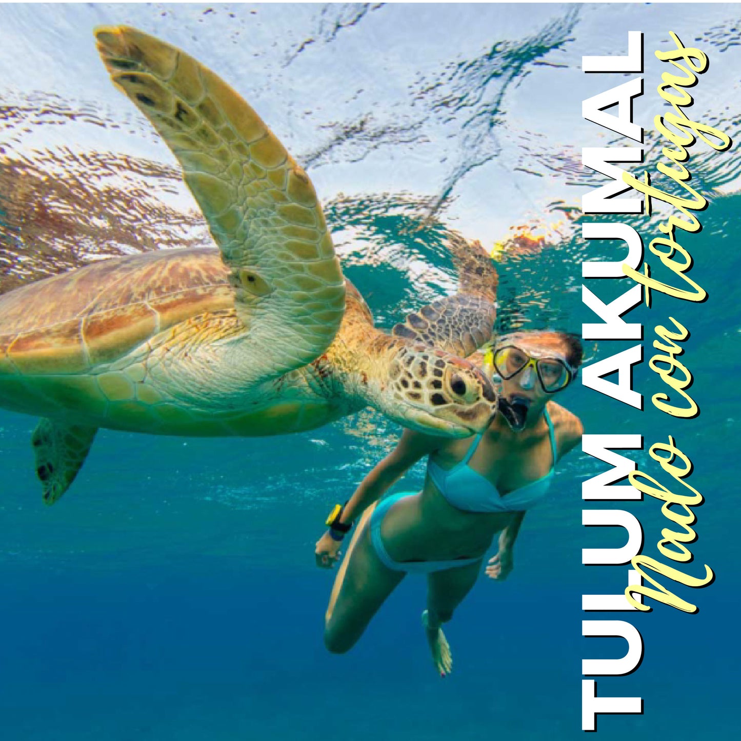 Tulum Nado con tortugas en Akumal