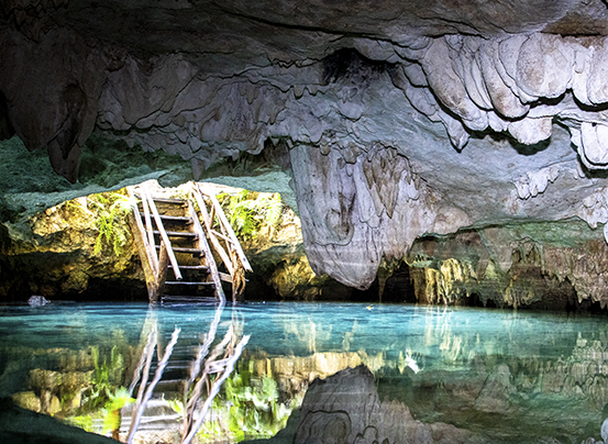 Tour Cenotes Casa Tortuga – Aventura, Cultura y Naturaleza en un Solo Día