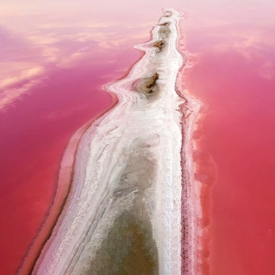 Coloradas and Rio Lagartos