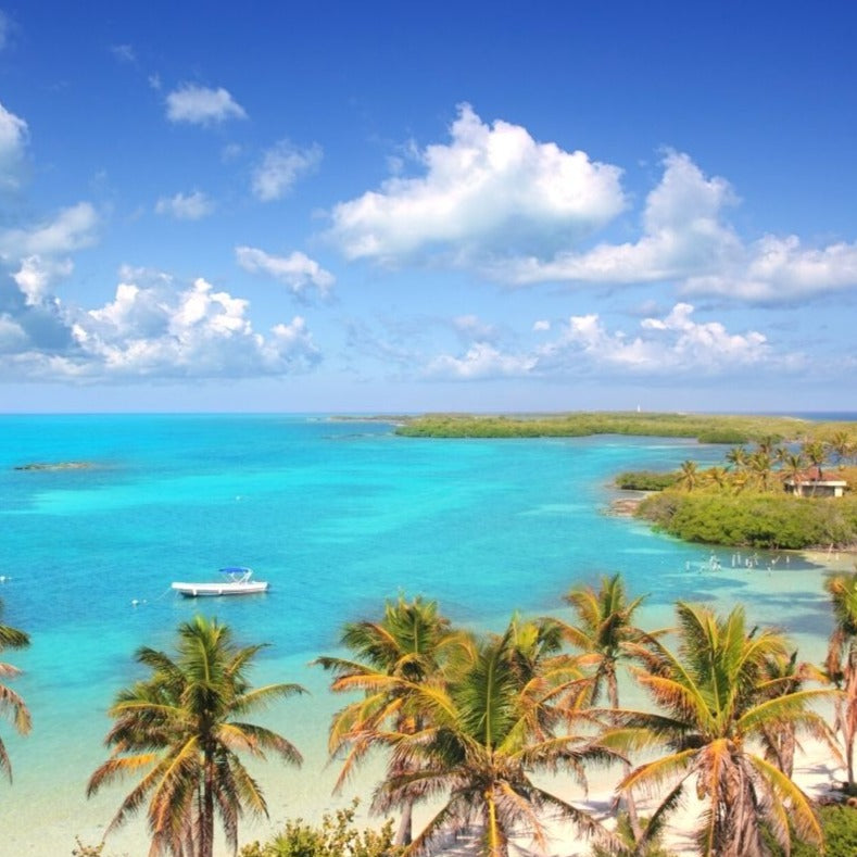 Contoy Island