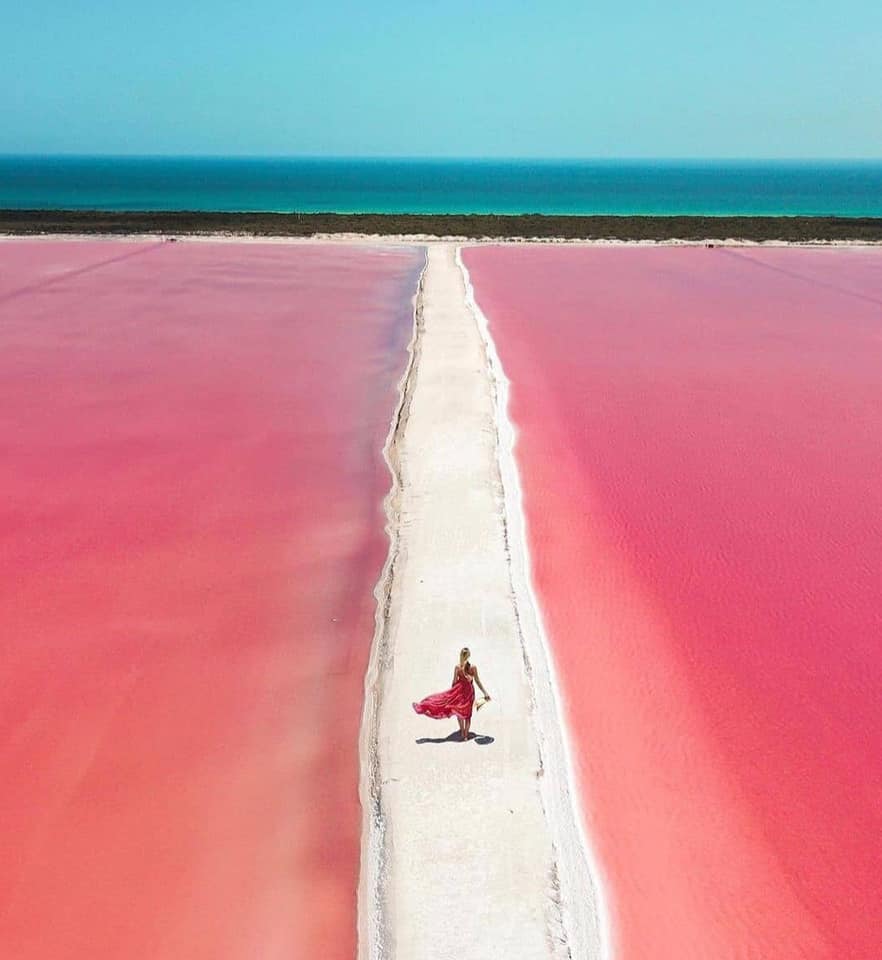 Las Coloradas & Río Lagartos Tour – The Pink Paradise of Yucatán Awaits