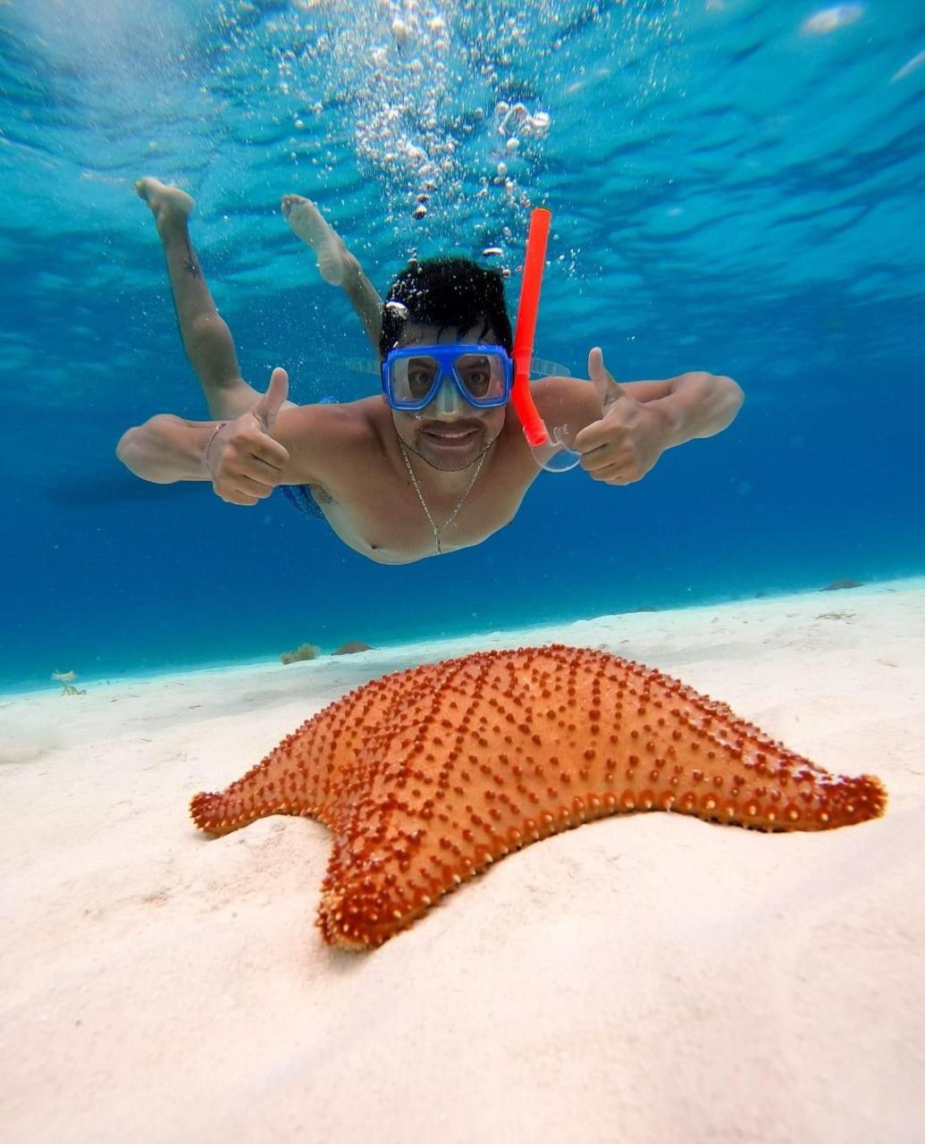 Tours en Cozumel – Descubre el Paraíso del Caribe Mexicano