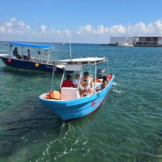 Cozumel El Cielo Snorkel Tour by Boat – Palancar Reef, Starfish & Snacks