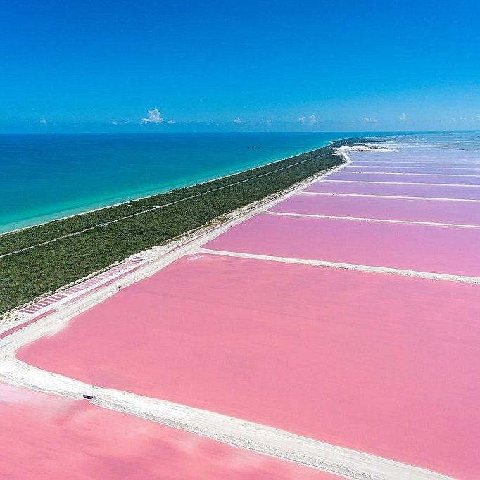 Private Tour to Las Coloradas from Holbox – Pink Lake & Flamingos Experience
