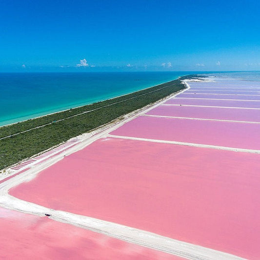 Private Tour to Las Coloradas from Holbox – Pink Lake & Flamingos Experience