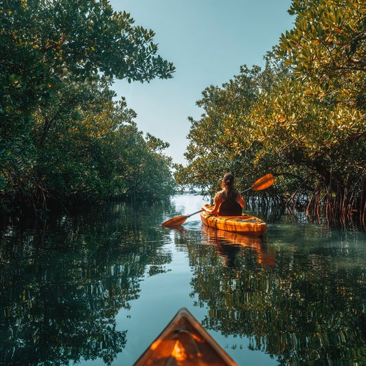 Mangrove Kayak Tour in Holbox – Sunrise or Sunset Experience with Transportation