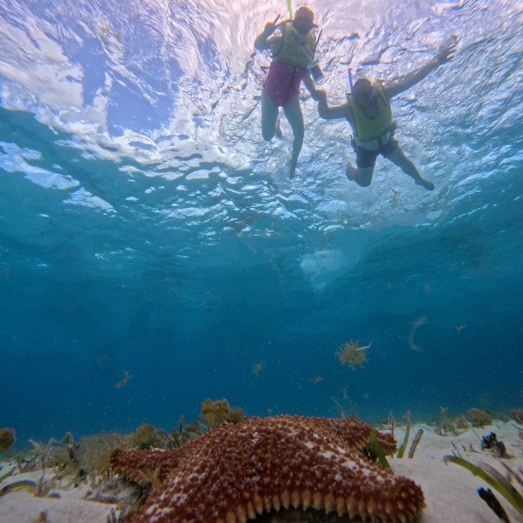 Cozumel Catamaran to El Cielo – Snorkeling, Starfish & Open Bar Experience