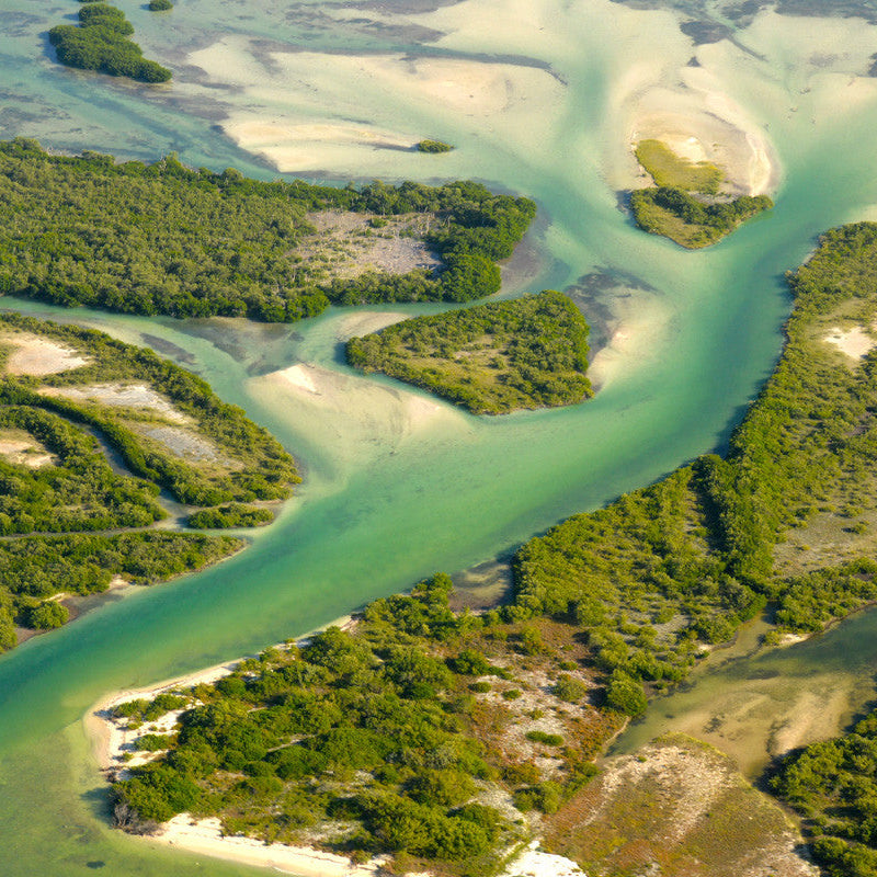 Cabo Catoche Tour from Holbox – Snorkeling, Fishing & Virgin Beaches Experience
