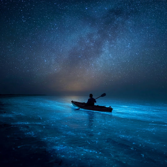 Bioluminescence Kayak Tour in Holbox – Night Experience with Transportation