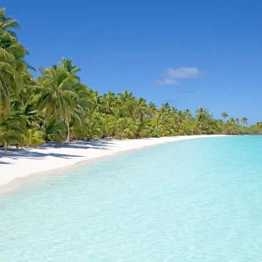 Luxury Catamaran to Passion Island Cozumel – Snorkeling, Paddle & Drinks Included