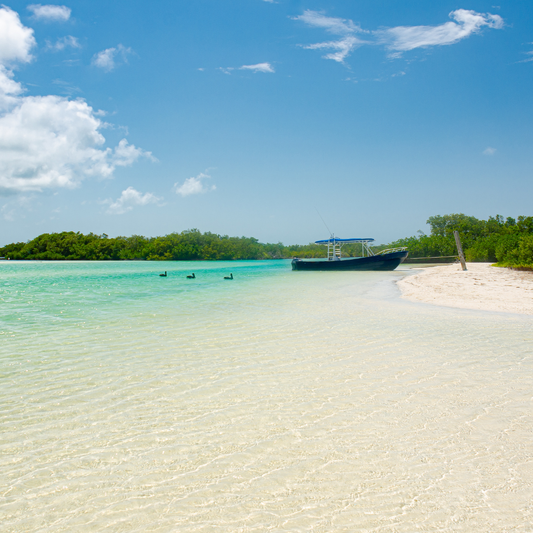 Cabo Catoche Tour from Holbox – Snorkeling, Fishing & Virgin Beaches Experience