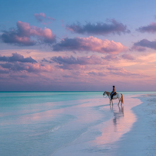 Horseback Riding in Holbox – Mangrove & Beach Trail Experience
