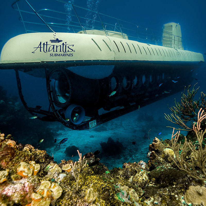 Atlantis Submarine Cozumel – Tour en Submarino con Arrecifes, Barco Hundido y Vida Marina