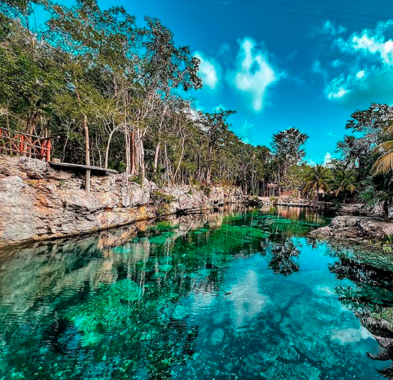 Tour Cenotes Casa Tortuga – Aventura, Cultura y Naturaleza en un Solo Día