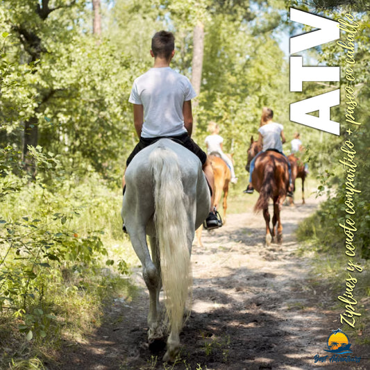 Shared ATV, ziplines and cenote + horseback ride