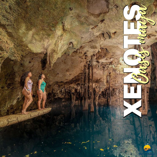 Xenotes Tour with Transportation – Cenote Adventure in Riviera Maya