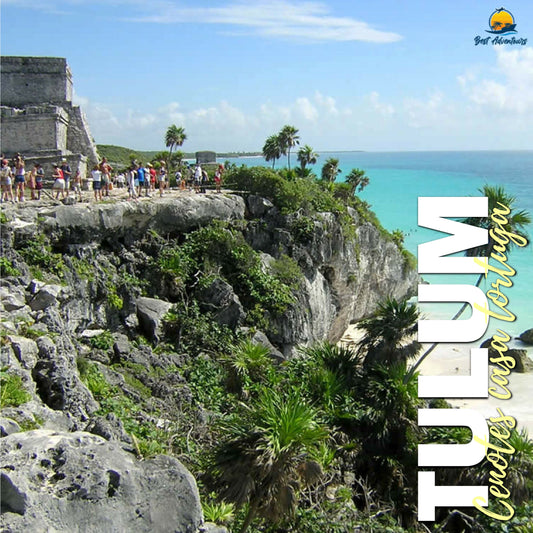 Tulum Cenotes Casa Tortuga